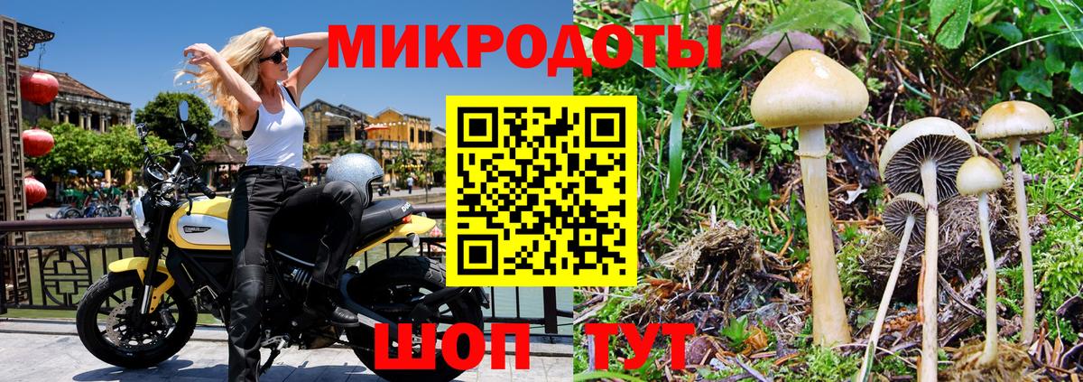 Псилоцибиновые грибы мухоморы Камень-на-Оби