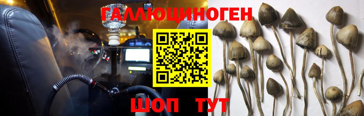 продажа наркотиков  Вход с VPN  Камень-на-Оби  Галлюциногенные грибы мицелий 